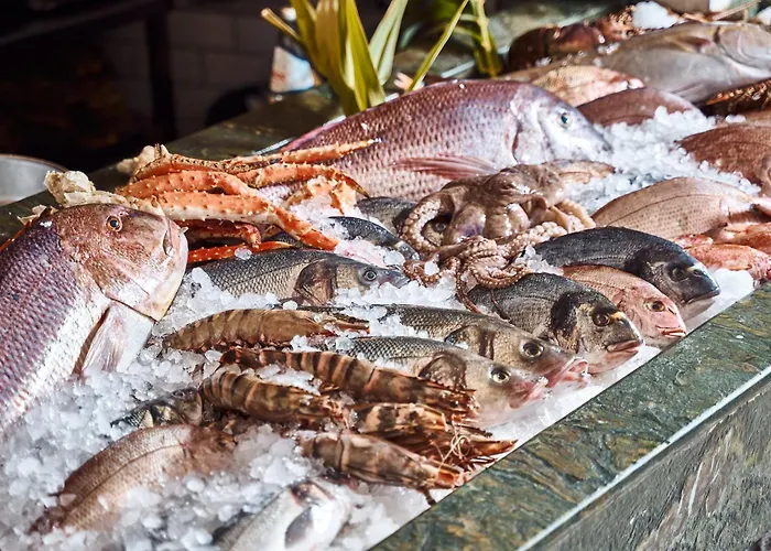 酒店 嬉皮别致酒店