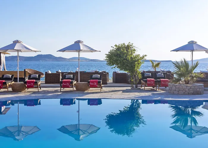 嬉皮别致酒店 酒店