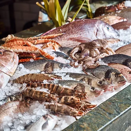 فندق هيبي شيك