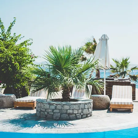 酒店 嬉皮别致酒店