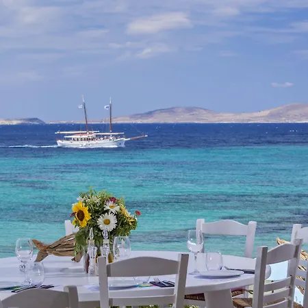 هيبي شيك فندق