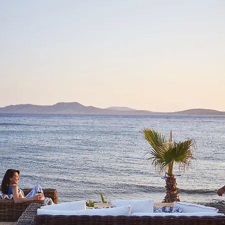 嬉皮别致酒店 酒店