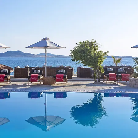 嬉皮别致酒店 酒店