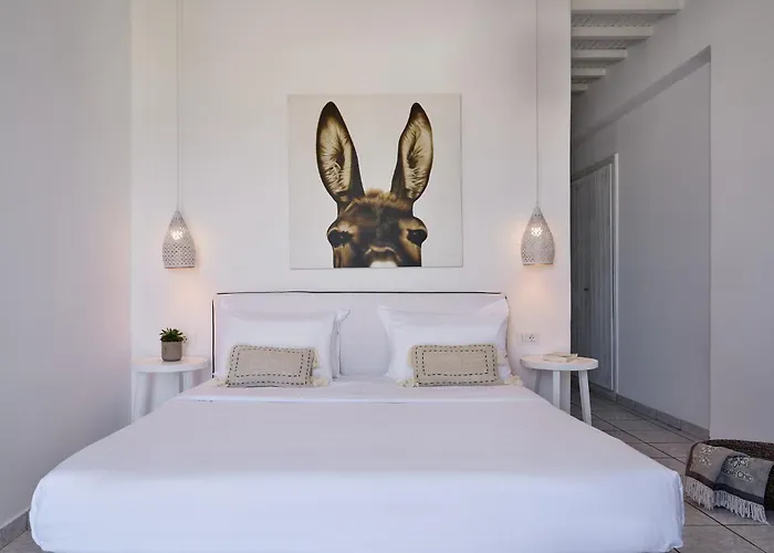 嬉皮别致酒店 3* Agios Ioannis Diakoftis