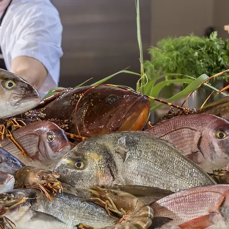 Hippie Chic Agios Ioannis Diakoftis