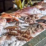 מלון Hippie Chic